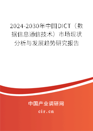 2024-2030年中國(guó)DICT（數(shù)據(jù)信息通信技術(shù)）市場(chǎng)現(xiàn)狀分析與發(fā)展趨勢(shì)研究報(bào)告