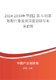 2024-2030年中國2-氯-5-硝基吡啶行業(yè)發(fā)展深度調研與未來趨勢