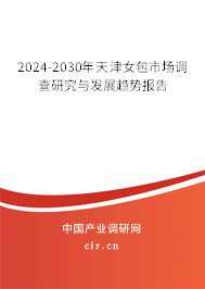 2024-2030年天津女包市場調查研究與發(fā)展趨勢報告