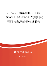 2024-2030年中國環(huán)丁酮（CAS 1191-95-3）發(fā)展現(xiàn)狀調(diào)研與市場前景分析報(bào)告