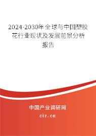 2024-2030年全球與中國塑膠花行業(yè)現(xiàn)狀及發(fā)展前景分析報告