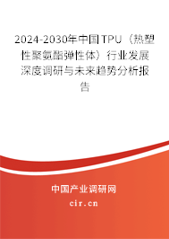 2024-2030年中國(guó)TPU（熱塑性聚氨酯彈性體）行業(yè)發(fā)展深度調(diào)研與未來(lái)趨勢(shì)分析報(bào)告