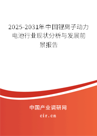 2025-2031年中國鋰離子動力電池行業(yè)現(xiàn)狀分析與發(fā)展前景報告