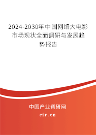 2024-2030年中國網(wǎng)絡(luò)大電影市場現(xiàn)狀全面調(diào)研與發(fā)展趨勢報告